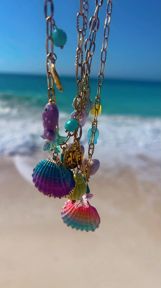 the shells