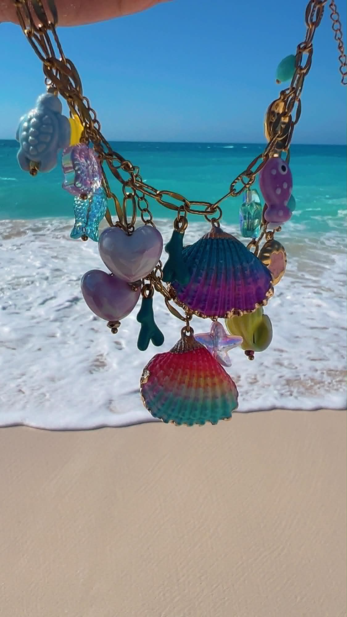 the shells